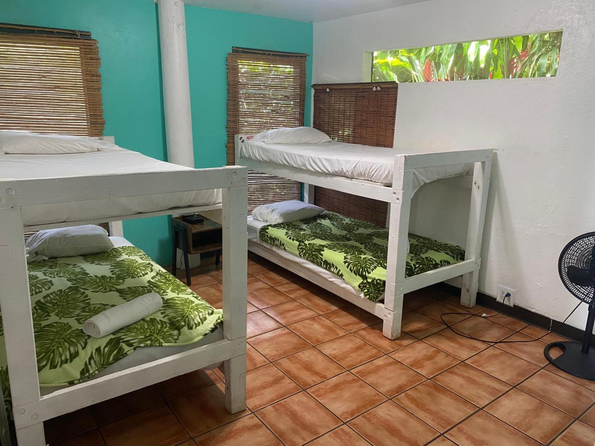 Backpackers Vacation Inn And Plantation Village Pupukea Exterior photo